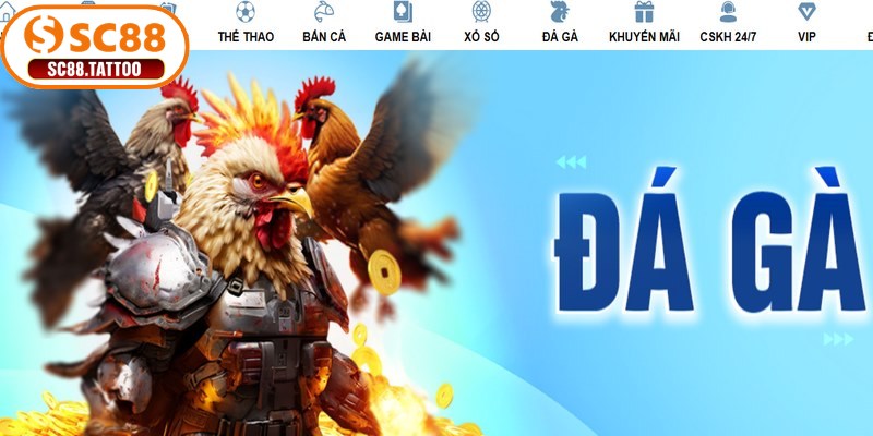Đá gà SC88 là trải nghiệm trực tuyến đầy hấp dẫn