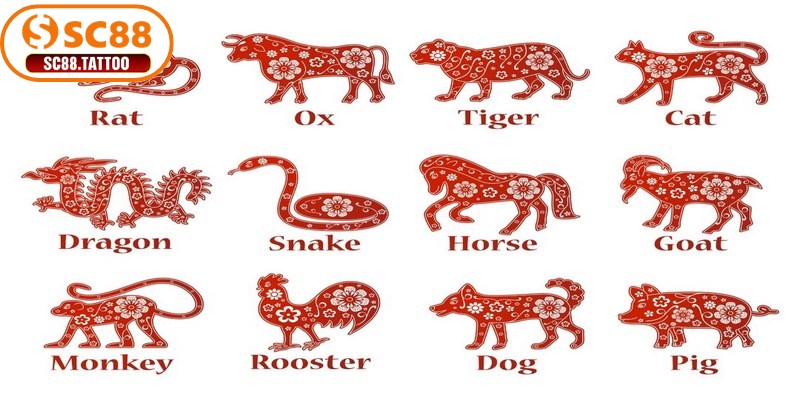 Vì sao nên chọn đá gà theo 12 con giáp