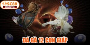 Đá Gà 12 Con Giáp