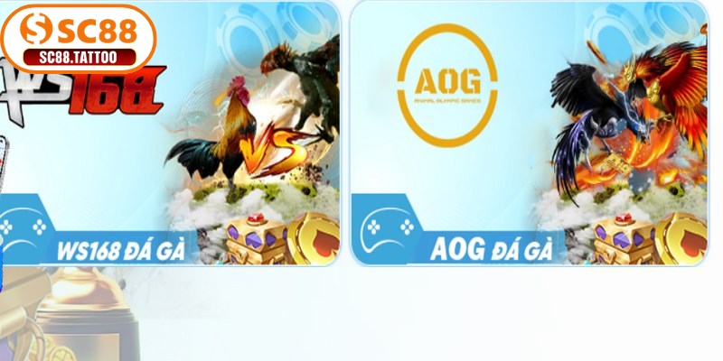 Luật chơi và hướng dẫn tham gia đá gà SC88