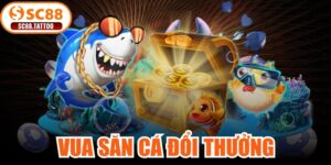 Vua Săn Cá Đổi Thưởng